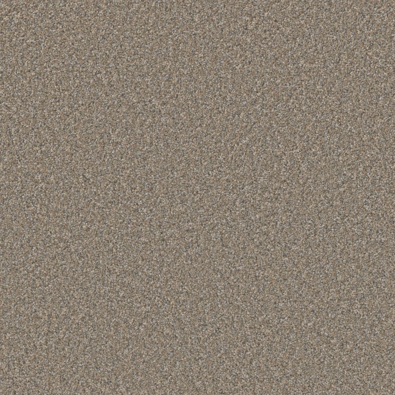 Excalibur I Color Balsam