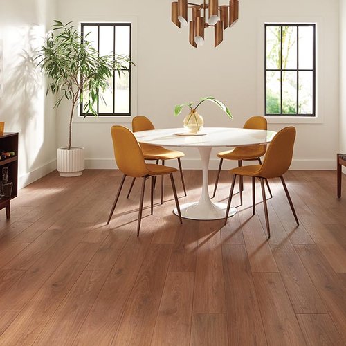 Dining Room Luxury Vinyl Plank LVP -   Mr. Carpet in Espanola, NM