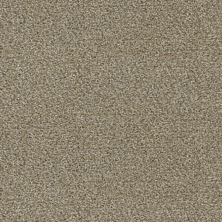 Andover Color: Toasted Oat